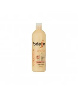 Șampon pentru păr vopsit ACME Fortesse Color Up & Protect, 400 ml