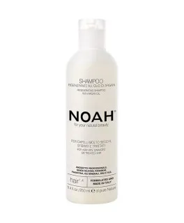 Sampon regenerant cu ulei de argan pentru par foarte uscat si deteriorat 1.4 Noah, 250 ml