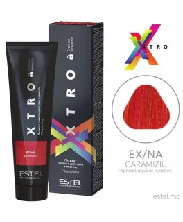 Pigmentul cu acțiune directă pentru păr XTRO, Purpuriu, 100 ml